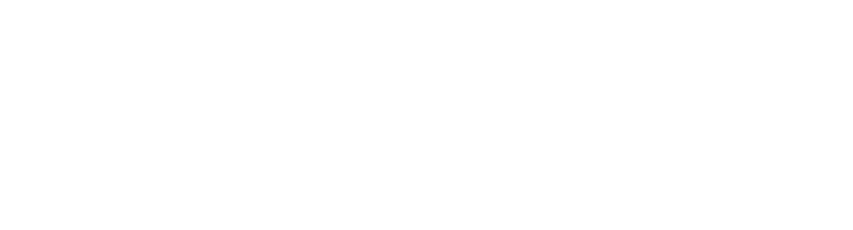 Sonicwall_Logo_RGB_White